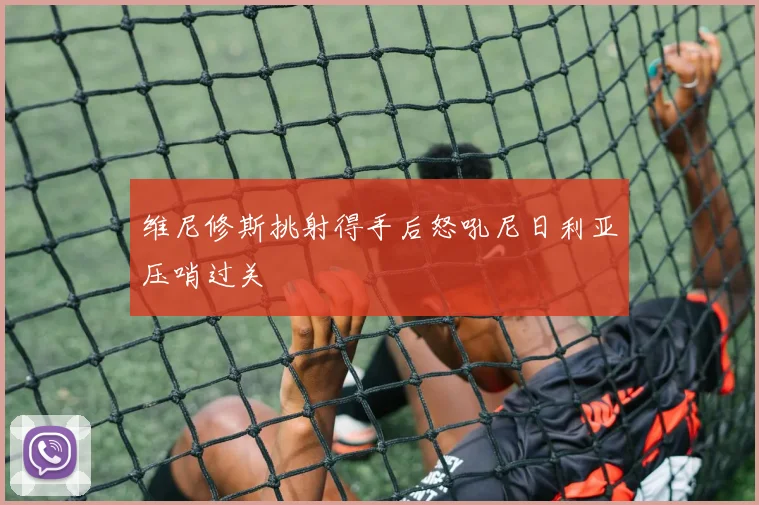 维尼修斯挑射得手后怒吼尼日利亚压哨过关