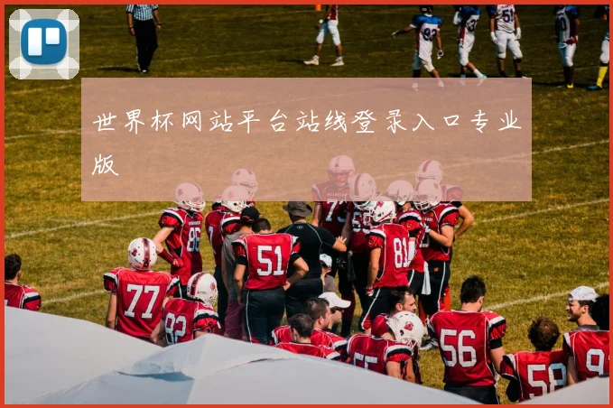 世界杯网站平台站线登录入口专业版