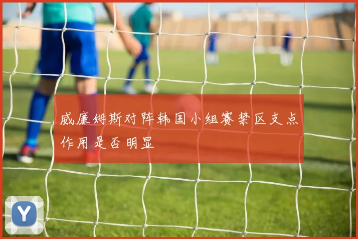 威廉姆斯对阵韩国小组赛禁区支点作用是否明显