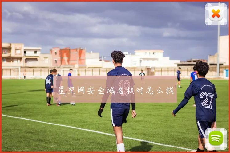 星空网安全域名核对怎么找