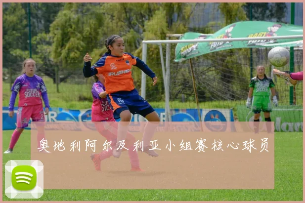 奥地利阿尔及利亚小组赛核心球员