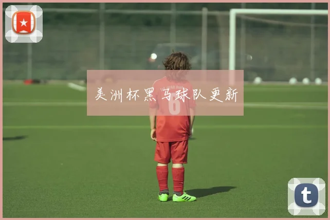 美洲杯黑马球队更新
